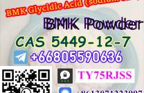 BMK Glycidic Acid (sodium salt) cas 5449-12-7 can ship to USA  threema TY75RJSS mediacongo